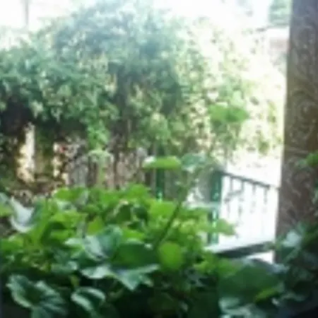 Hotel Shans 2